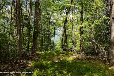 2 Red Rock Rd, Wawarsing, NY 12489 - photo 4