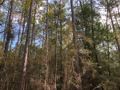 0 Backlin Rd, Lucedale, MS 39452 - photo 7