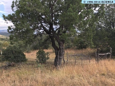 0 Xyz Ranch Rd unit Corner of XYZ and Oa, Silver City, NM 88061 - photo 2