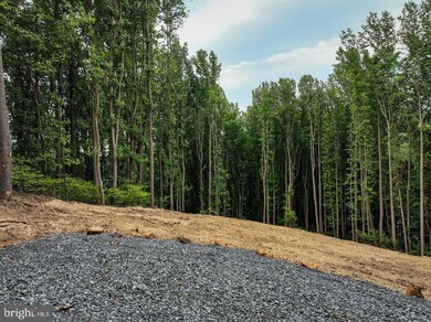 Off Restmore Ln, Stanley, VA 22851 - photo 4