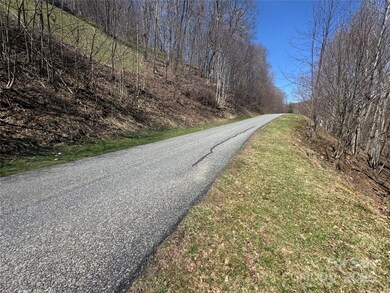 14 & 16 Overlook Dr, Mars Hill, NC 28754 - photo 6