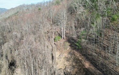 Additional View