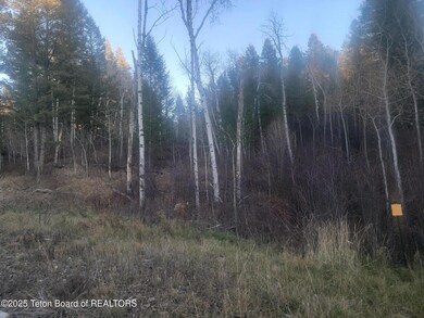 L13B2 Cutthroat Run, Irwin, ID 83428 - photo 4