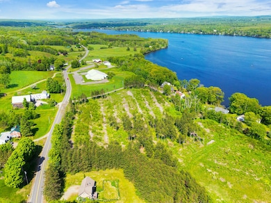 06_DJI_0038_DxO_mls