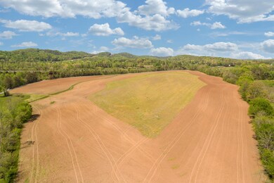 Baugh_Springs_Rd