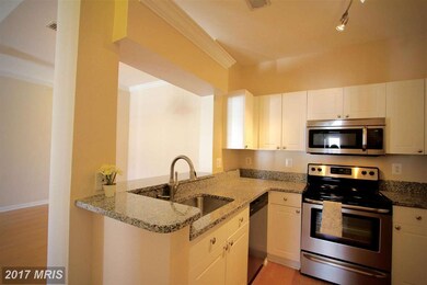 4550 Strutfield Ln unit 2427, Alexandria, VA 22311 - photo 5