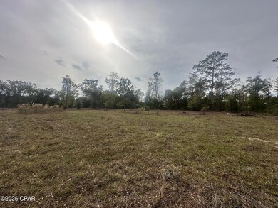 2194 Mohawk Trail, Sneads, FL 32460 - photo 6