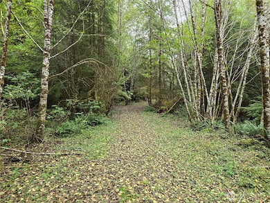0 Lund Rd, Cosmopolis, WA 98537 - photo 6