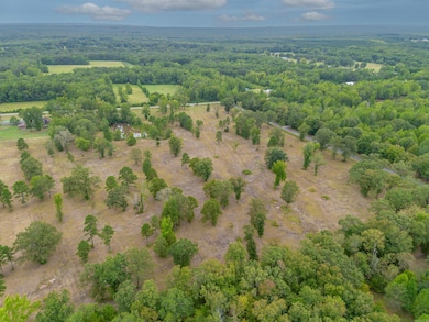 Lot 6 Highway 287, Greenbrier, AR 72058 - photo 4