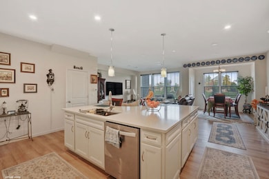 24528 W Alexis Ln, Plainfield, IL 60585 - photo 4