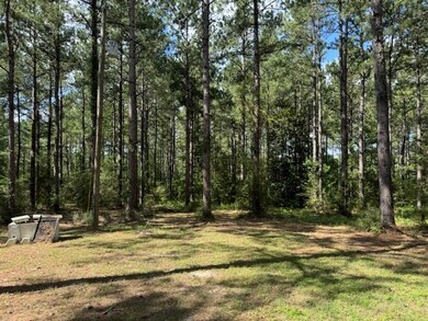 273 Edgar Holmes Rd, Tylertown, MS 39667 - photo 5