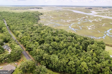 0 Sheffield Island Rd unit 3, Woodbine, GA 31569 - photo 3