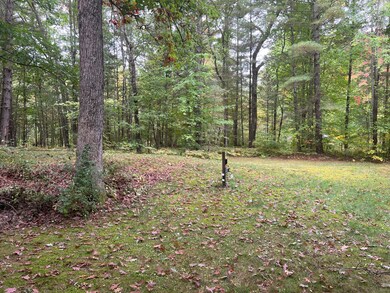 13125 Kt Dr, Bitely, MI 49309 - photo 7
