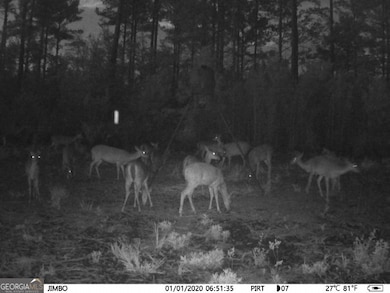 5790 Wooddell Dr, Waycross, GA 31503 - photo 5