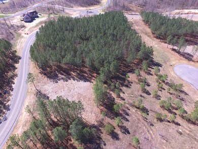 2275 River Bluffs Dr, Jasper, TN 37347 - photo 6