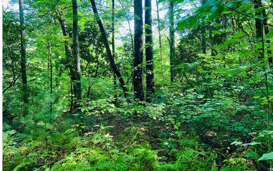 Additional View