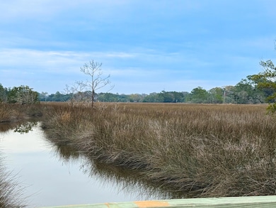 2110 Marsh Flower Ln, Charleston, SC 29414 - photo 3