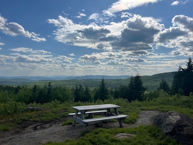 Overlook Area