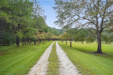 Gorgeous tree lined driveway.