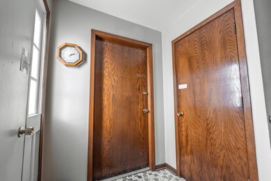 4613 Elm Ave unit 2N, Brookfield, IL 60513 - photo 2