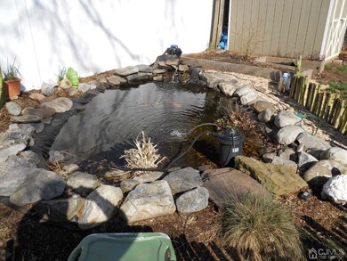 Koi pond with fish