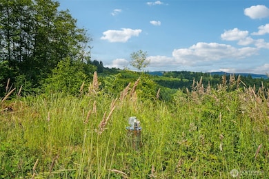 1830 Hazel Dell Rd unit Lot 3, Castle Rock, WA 98611 - photo 5