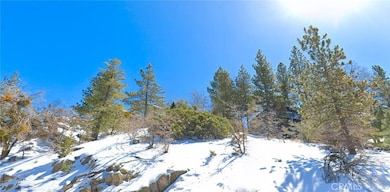 0 Hilltop Blvd unit ND25270327, Running Springs, CA - photo 2