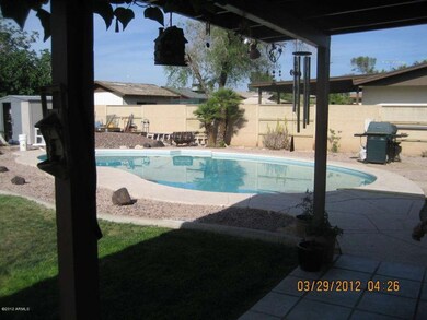 Backyard and patio