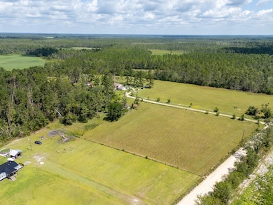 191 Crosscreek Rd, Lakeland, GA 31635 - photo 6