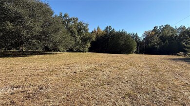 16508 NW 192nd Place, Williston, FL 32696 - photo 6