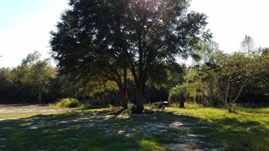 oaktree lot 12