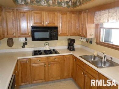 25 Tulip Dr, Lincoln, IL 62656 - photo 5