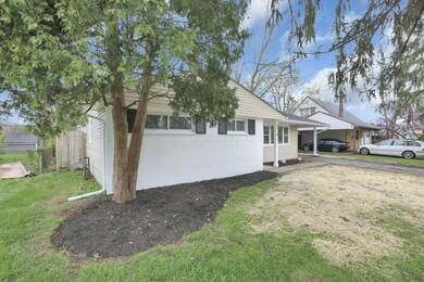 Mature Treed Neighborhood