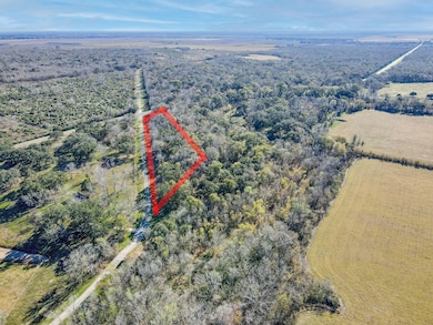 0 Fm 521 Rd, Cedar Lane, TX 77415 - photo 3