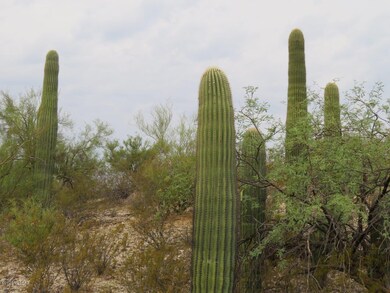 6080 N Mona Lisa Rd, Tucson, AZ 85741 - photo 3