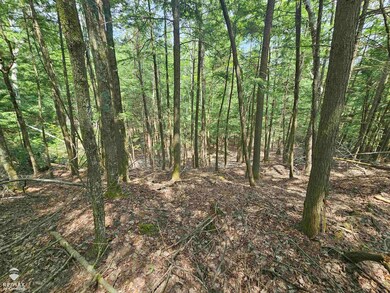 0 Spile Dam Rd unit 50182643, Millersburg, MI 49759 - photo 6