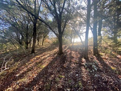 1275 Paint Brush Ct, Whitney, TX 76692 - photo 4