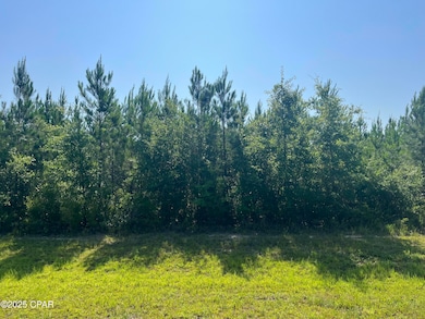 0 SE Nadine Stone Landing Rd, Kinard, FL 32449 - photo 2