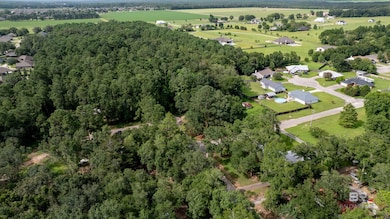 Lot 2 Caney Creek Dr unit 2, Daphne, AL 36526 - photo 4