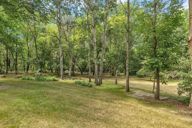 Wooded Backyard