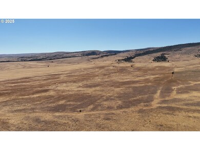 79210 Back Walters Rd, Maupin, OR 97037 - photo 6