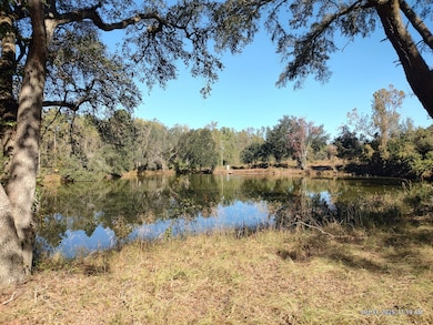 Birdford Lake Rd, Glennville, GA 30427 - photo 6