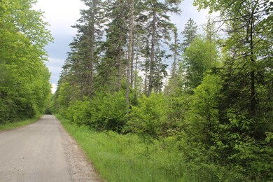 0 Cobb Rd unit 5046229, Walden, VT 05873 - photo 7