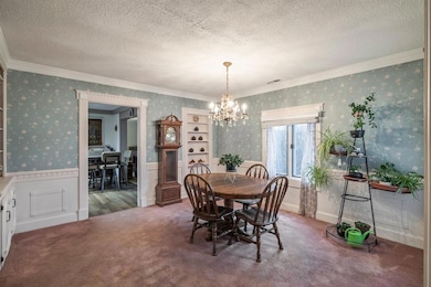 113 N Locust St, Madrid, IA 50156 - photo 7