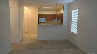 411 Appeldoorn Cir unit 411, Asheville, NC 28803 - photo 7