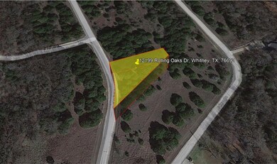 12199 Rolling Oaks Dr, Whitney, TX 76692 - photo 4