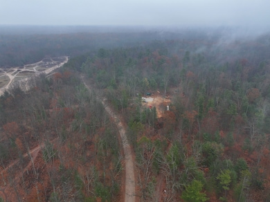 6270 Woods Trail, Custer, MI 49405 - photo 3