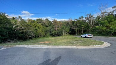 402 Km 3 9, Anasco, PR 00610 - photo 4