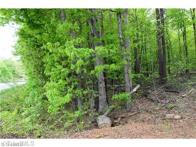 1.379ac Wilkesboro Hwy, Statesville, NC 28625 - photo 3