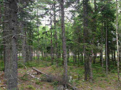 Land/Lot.